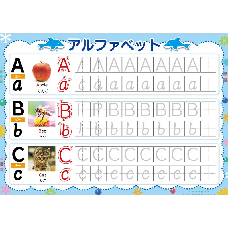 Cross-line Calligraphy Board, Alphabet, Practice Set, Reusable, Writing Order, English,