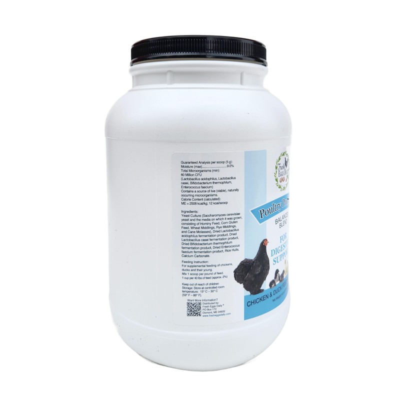 Fresh Eggs Daily Poultry Probiotics Feed Supplement – Natural Digestive