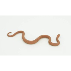 Unbranded Eastern Brown Snake, Australia, Rubber , Model Toy Realistic3 1/2" F3052 B364195