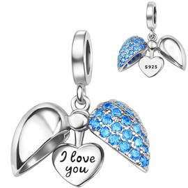 Ruishiqi 925 sterling silver bracelet and necklace pendant December series/Birthstone Charm Bead Women's Jewelry Gift Suitable for Women