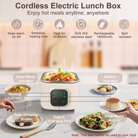 HimAoto Cordless Electric Lunch Box, 27 oz Heated Lunch Box Battery Powered, 14000mAh Rechargeable Portable Self Heating Food Warmer for Work, Office, Car, Travel, Picnic & Outdoor