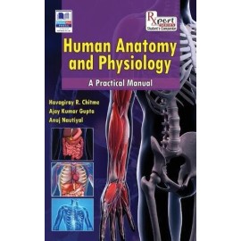 Havagiray R Chitme Ajay Kumar Gupta Anuj Nau Human Anatomy and Physi (Hardback)