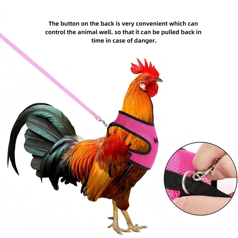 Chicken Harness with Lead, 3 Pieces Chicken Harness, Adjustable, Breathable,