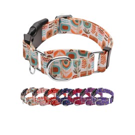 JOOCPUP Martingale Dog Collar with TAG Ring - Adjustable Soft Nylon No-Slip Design for Small, Medium & Large Dogs, Boho L