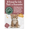 Living Nature Bengal Kitten, Realistic Soft Cuddly Cat Toy, 16.5cm,