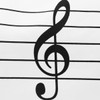 Music Notes Handbag Canvas Tote Bag Reusable Grocery Bag Shoulder