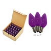 25 Pack C7 Purple Frosted Dimmable SMD LED Retrofit Bulbs