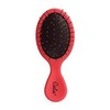 NEW Cala Wet-N-Dry Kids & Travel Detangling Hair Brush (Pinkish