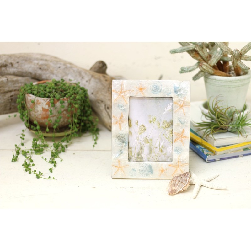 Photo Frame Caspian Sea Shell Float Shell 35951624