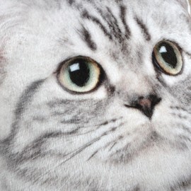 JWH 3D Cat Pillow Cover Decorative Throw Pillow Animal Shaped Accent Pillow Pets Print Pillowcase for Girls Kids Bed Bedroom Couch Decor Euro Shams Colorful Cushion 14x11 Inch White Black Grey