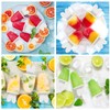 Zaloife Ice Lolly or Popsicle Moulds, Set of 6, LFGB