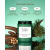M&SENSE Clestial Cypress - Cedar & Spice Soy Jar Candles,