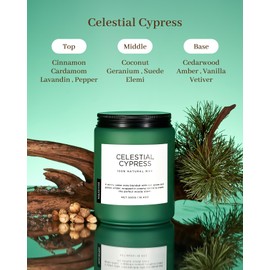 M&SENSE Clestial Cypress - Cedar & Spice Soy Jar Candles, Cedarwood Cardamom Large Winter Scented Candles 19.4oz 110 Hour Long Lasting Burn, Non Toxic Natural Warm Woody Candle Gifts for Men Women