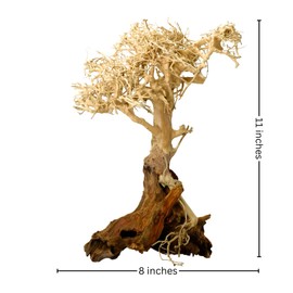 2-Pack Bonsai Driftwood Aquarium Trees on Rock 1BF (11" Height) 1BSS(5" Height) – Handcrafted Natural Fish Tank Decoration | Balances Water pH, Stabilizes Environment | Easy to Install