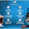 Syruvia Sugar Free Coffee Syrup, Swiss Chocolate Flavored Syrup for