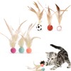 DEFGNOP Cat Toy Set, Chicken Feather Rubber Bouncy Ball 6
