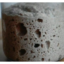 Unbranded ORIGINAL WHARF SAN FRANCISCO SOURDOUGH STARTER yeast bread flour ACTIVE bonanza