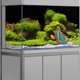 Pinpai 30X12 Inches Fish Aquarium Background, Black River Bed & Lake Aquatic Plant Terrarium Background Decor, Moss Grass Landscape Durable Polyester Background with 8 EVA Double-Sided Tapes