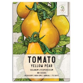 Seed Needs, Yellow Pear Tomato Seeds - 80 Seeds for Planting Solanum lycopersicum - Non-GMO & Untreated Indeterminate Variety to Plant an Outdoor Vegetable Garden (1 Pack)