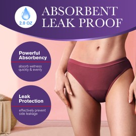 REELINDRY Washable Incontinence Underwear for Women Absorbent Ladies Leak Proof Hipster Panties Bladder Control Briefs 1 Pack (Dark Red, 2XL)