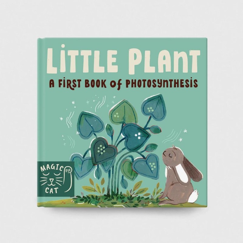 Books 5 Minute Nature Story Box