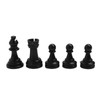 Chess Checkers Set 13.8in Board 2 in 1 Anti Slip