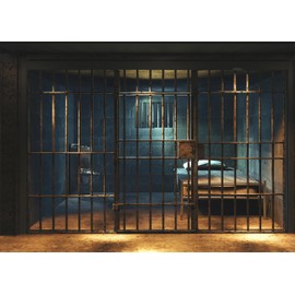 DePhoto Prison Backdrop Fabric Jail Cell Backdrop Forbidden Room Photography Background Murder Mystery Party Mugshot Crime Birthday Party Decorations Adults Kids Funny Videos Photo Booth Props