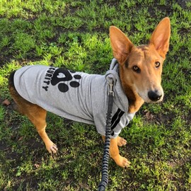 Dolahovy Dog Hoodie Clothes for Pets Dog Jumper Vest Autumn Winter Dog Jumper Puppy Costumes Coats Dog Outfit for Small Medium Dogs Cats Chihuahua Teddy