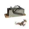 Squirrel Traps Outdoor - Squirrel Trap - Ouell Traps -