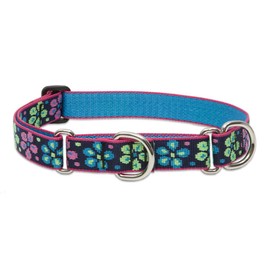 LupinePet Originals 1" Flower Power 19-27" Martingale Collar for Large Dogs