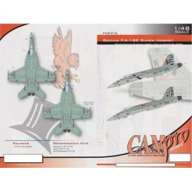 CAM PRO OOP, CAM PRO DECAL, P48-016, 1/48 SCALE, F/A-18E SUPER HORNET, VFA-22, VFA-14