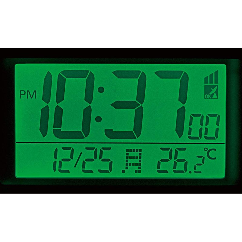 RHYTHM 8RZ192SR02 Alarm Clock Loud Radio Digital Fit Wave Battle