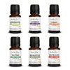 HealthAndYoga Natural Aroma Essential Oils – Superior Distilled Oils -