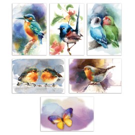 Better Office Products 50-Pack All Occasion Greeting Cards Box Set, 4 x 6 inch, 50 Assorted Blank Note Cards & 50 Envelopes, 6 Butterfly & Birds Designs, Blank Inside, 50 Pack