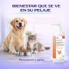 Aceite De Salmón Omega 3 Y 6 Para Perros Y