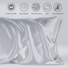 LULUSILK Silk Pillow Cases 2 Pack with Hidden Zipper, Silvergrey