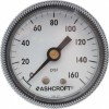 Ashcroft 2" Dial, 1/4 Thread, 0-160 Scale Range, Pressure Gauge Center Back C...