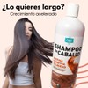 Shampoo Zaire Con Biotina Keratina Y Colágeno (2 Pack)
