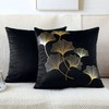 JOTOM Pack of 2 Cushion Covers 45x45cm Cozy Velvet Decor
