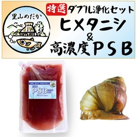 Satoyama Medaka 5 Himetanishi & High Concentration PSB (Photosynthetic Bacteria), 16.9 fl oz (500 ml), Water Purification Set, Aquarium Medaka