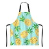 Wasach Apron-08, Multicoloured 156