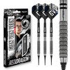 RED DRAGON Darts – Professional Player - Gian van Veen