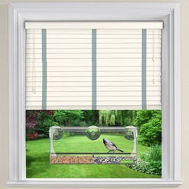 Yardly Noticed Window Bird Feeder with Removable Tray, Drain Holes, Extended Perch, 4 Suction Cups - Crystal Clear See Through Design 2017 - See Wild Birds Up Close, Great for Kids & Cats