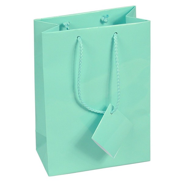 10 pcs Tiny Fancy Robin's Egg Blue Glossy Finish Shopping Paper Gift Sales Tote Bags with Blank Message Tag 3" x 2" x 3.5"