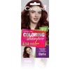 Cameleo - Tint Shampoo - Quick and Easy Colour Refreshment - No Ammonia and Oxidant - Shampoo in Bag - 40 ml (4.54 Cherry Black)