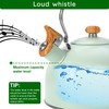Foedo Tea Kettle Stovetop, 2.6 Quart cute teapot,loud whistle kettle,