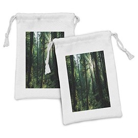 Ambesonne Nature Fabric Pouch Set of 2, Sunset in Woods Sun Beaming Through Forest Trees Wilderness Scenery, Small Drawstring Bag for Toiletries Masks and Favors, 9" x 6", Forest Green Pale Yellow