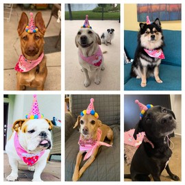 ADOGGYGO Dog Birthday Bandana Scarf and Dog Girl Boy Birthday Party Hat with Cute Dog Bow Tie for Medium Large Dog Pet (Large, Pink)