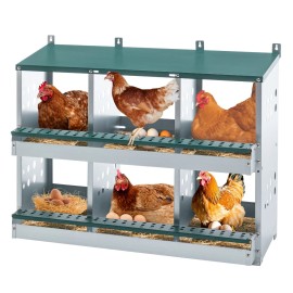 Green Metal Chicken Nesting Box with 6 Compartments Roll Away Laying Eggs Durable Chicken BoxesColor: as Pic Color