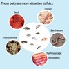 Trampa para peces y cebo portátil Trungeton fish02 de plástico